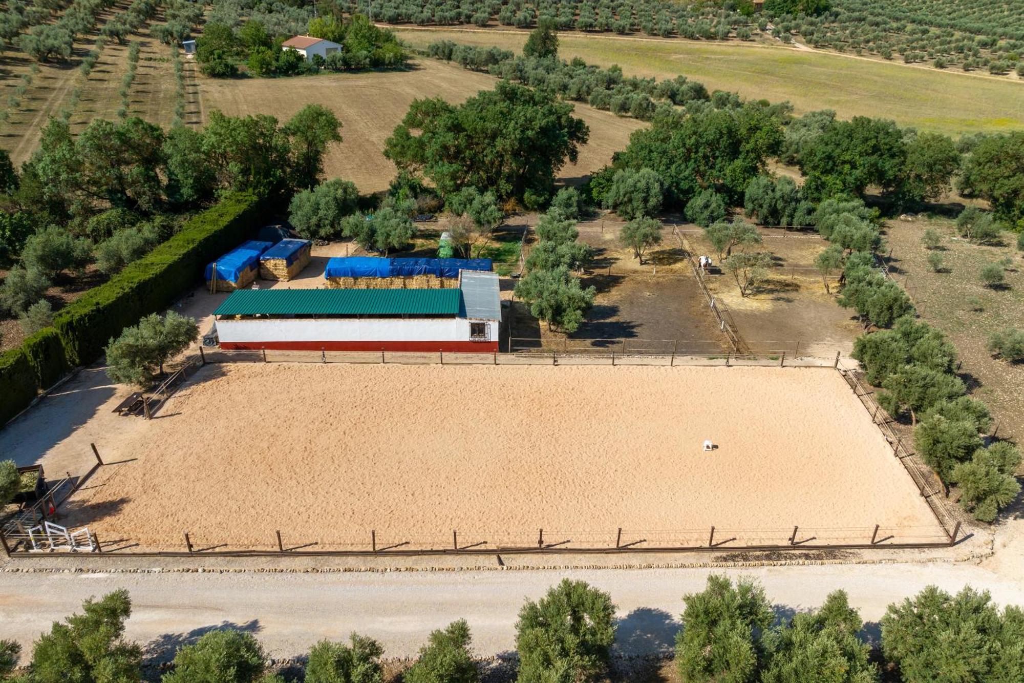 Pasa Fina, Luxury Holiday Retreat Villanueva del Trabuco Esterno foto